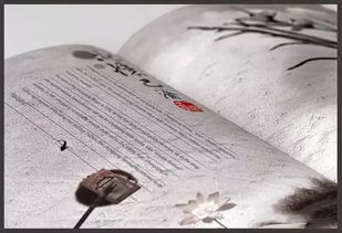 古詩(shī),詩(shī)句,故鄉(xiāng),美好