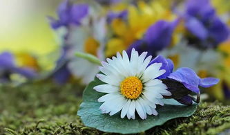 新起點(diǎn)古詩句