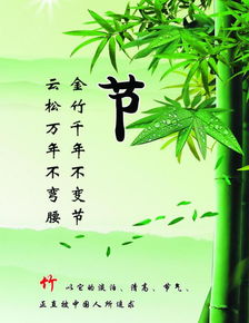 贊美太極與茶的古詩句