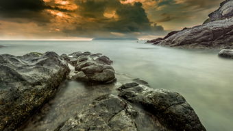 關(guān)于礁石與狼頑強(qiáng)搏斗的詩句