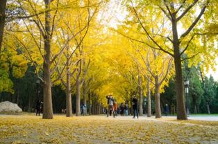 關(guān)于由秋天轉(zhuǎn)冬天的詩(shī)句