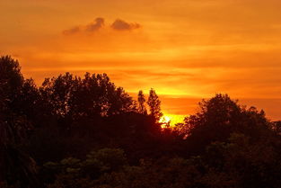 關于武漢夕陽的詩句