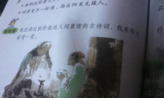 表達(dá)真情的古詩(shī)句