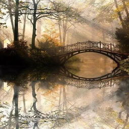 關(guān)于帶有橋的詩(shī)句有哪些