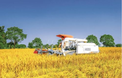 關(guān)于豐收的詩句片段