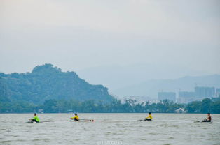 關(guān)于洞湖的詩(shī)句
