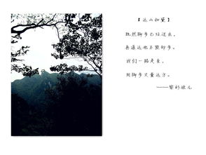 關于武陵山的詩句