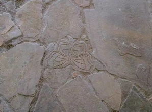 關(guān)于飛鳥走獸的詩句