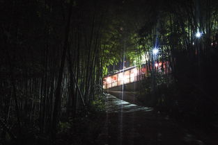 關(guān)于夜色竹林的詩(shī)句