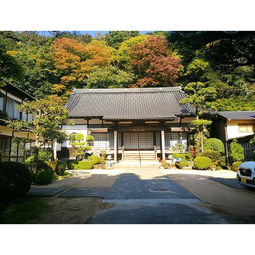 關于扶桑的愛情詩句