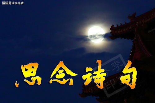 關(guān)于思念的詩句古詩帶意思