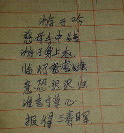 有關(guān)親情的詩(shī)句古詩(shī),珍惜親情的詩(shī)句古詩(shī),關(guān)于贊美親情的詩(shī)句古詩(shī)