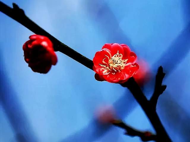 關(guān)于云的形態(tài)的詩句