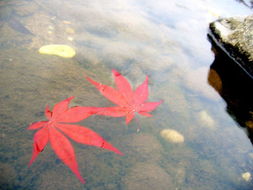 經(jīng)典做人的古詩句