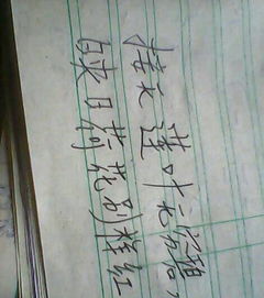 古詩(shī),詩(shī)句,描寫(xiě),寫(xiě)出