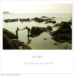 關(guān)于青島的詩句名句