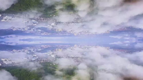 關(guān)于目的詩(shī)句