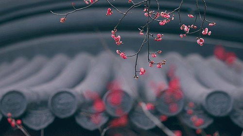 關于在困境時的古詩句