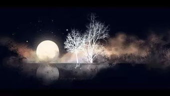 關于彩虹雨滴的詩句