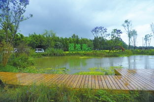 關于美好鄉(xiāng)村生活場景的詩句初中