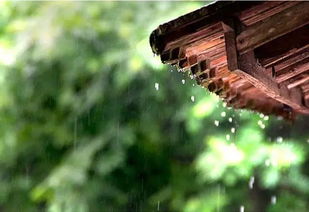 春雨的詩(shī)句古詩(shī)別嚴(yán)士元