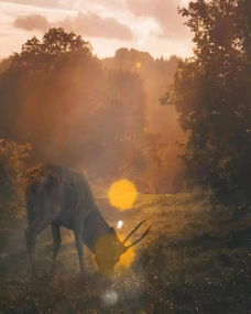 寒鴉的古詩(shī)句