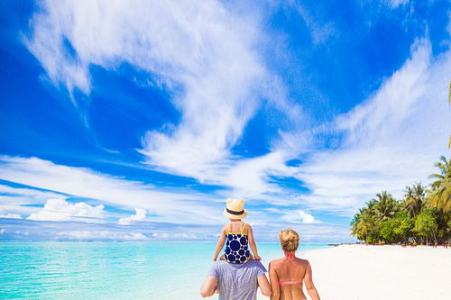 夏天夜景的古詩句