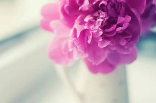 女人心情好的古詩(shī)句