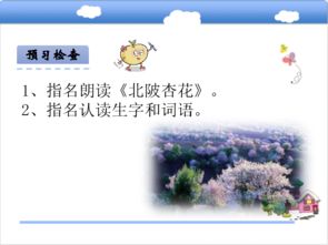 杏花,古詩,詩句,小學