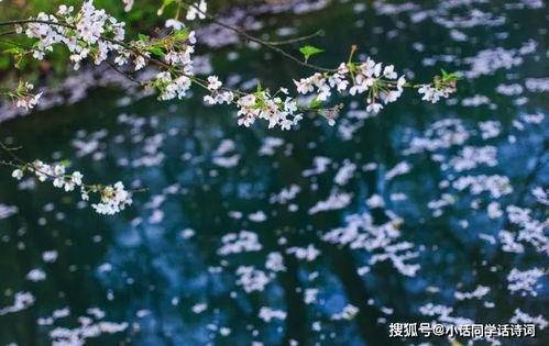 詩句,清新,舒服