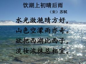 古詩信任雨如跳珠的詩句