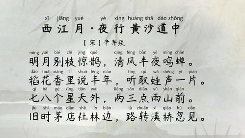 詩句,詩中,有哪些