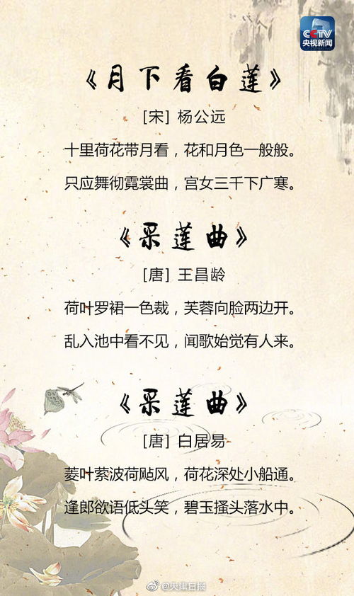 關(guān)于美的詩句和詞語