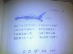 關(guān)于白居易的小草的詩句