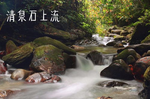 古詩(shī),詩(shī)句,大全,帶月字