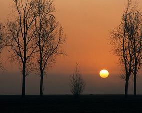 關(guān)于太陽星辰的詩句