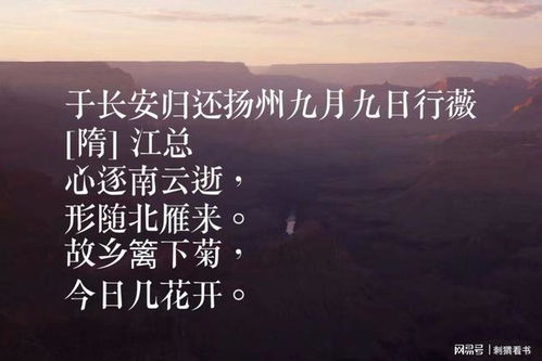 關(guān)于重陽節(jié)的詩句10首