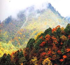 關(guān)于西嶺雪山的詩句