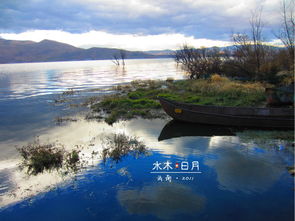 如入仙境的古詩句