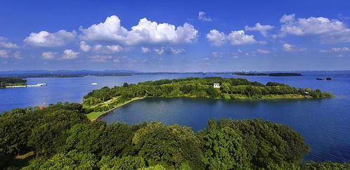 關(guān)于荊門漳河的詩句