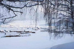 關(guān)于冬天傷心的詩句