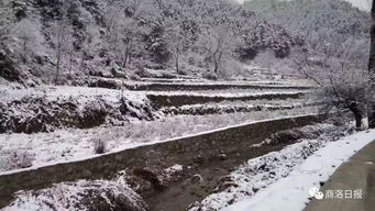 關(guān)于商洛雪的詩(shī)句