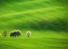 雄心壯志,古詩(shī),詩(shī)句