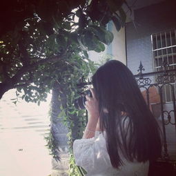 詩句,背影,照片