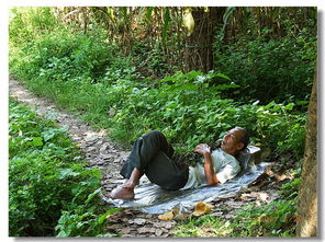 寫一首童的關(guān)于春天的詩句