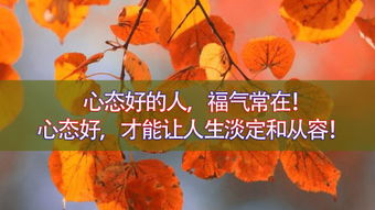 關于從容心態(tài)的相關詩句