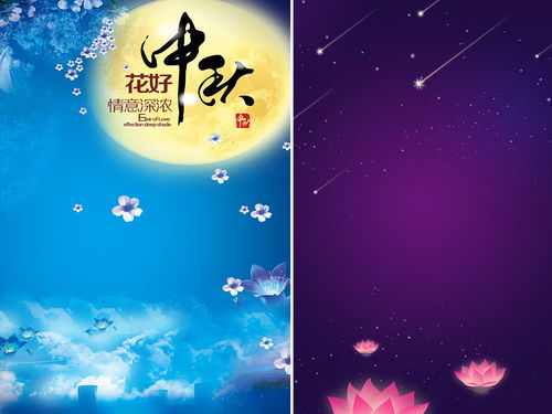 關(guān)于月中秋的詩(shī)句古詩(shī)