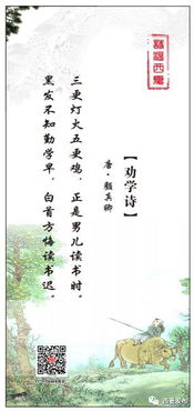 你想到哪些關(guān)于勸學(xué)的古詩句