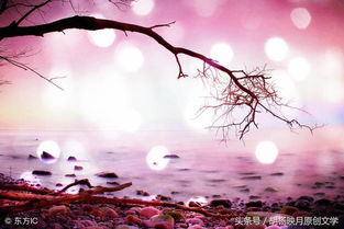 等不到傷感詩句痛到心里古詩