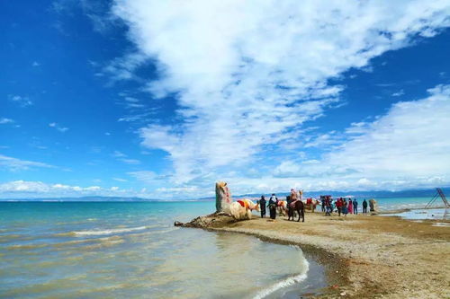 有哪些關(guān)于青海的詩句